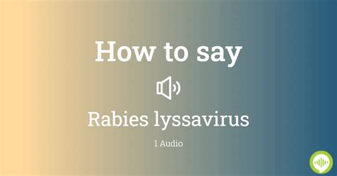 rabies pronunciation|how to pronounce rabies.